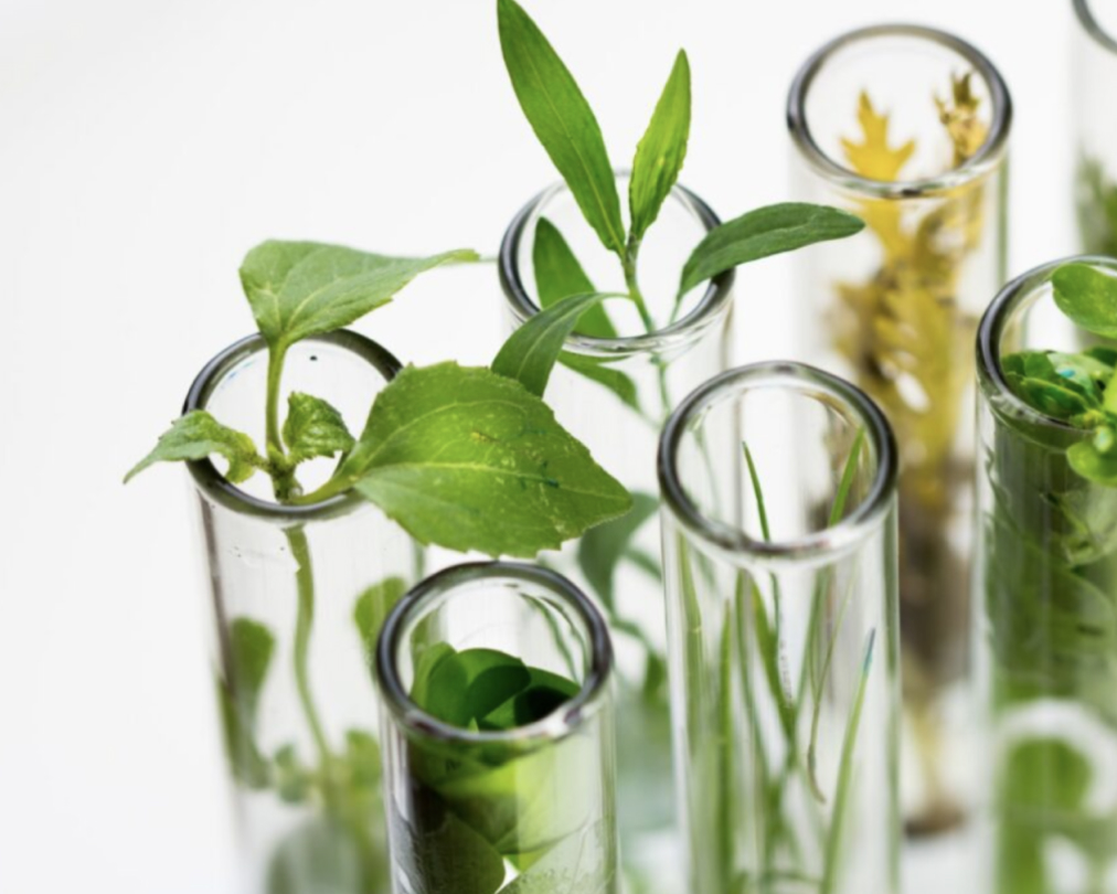 slider detail sample